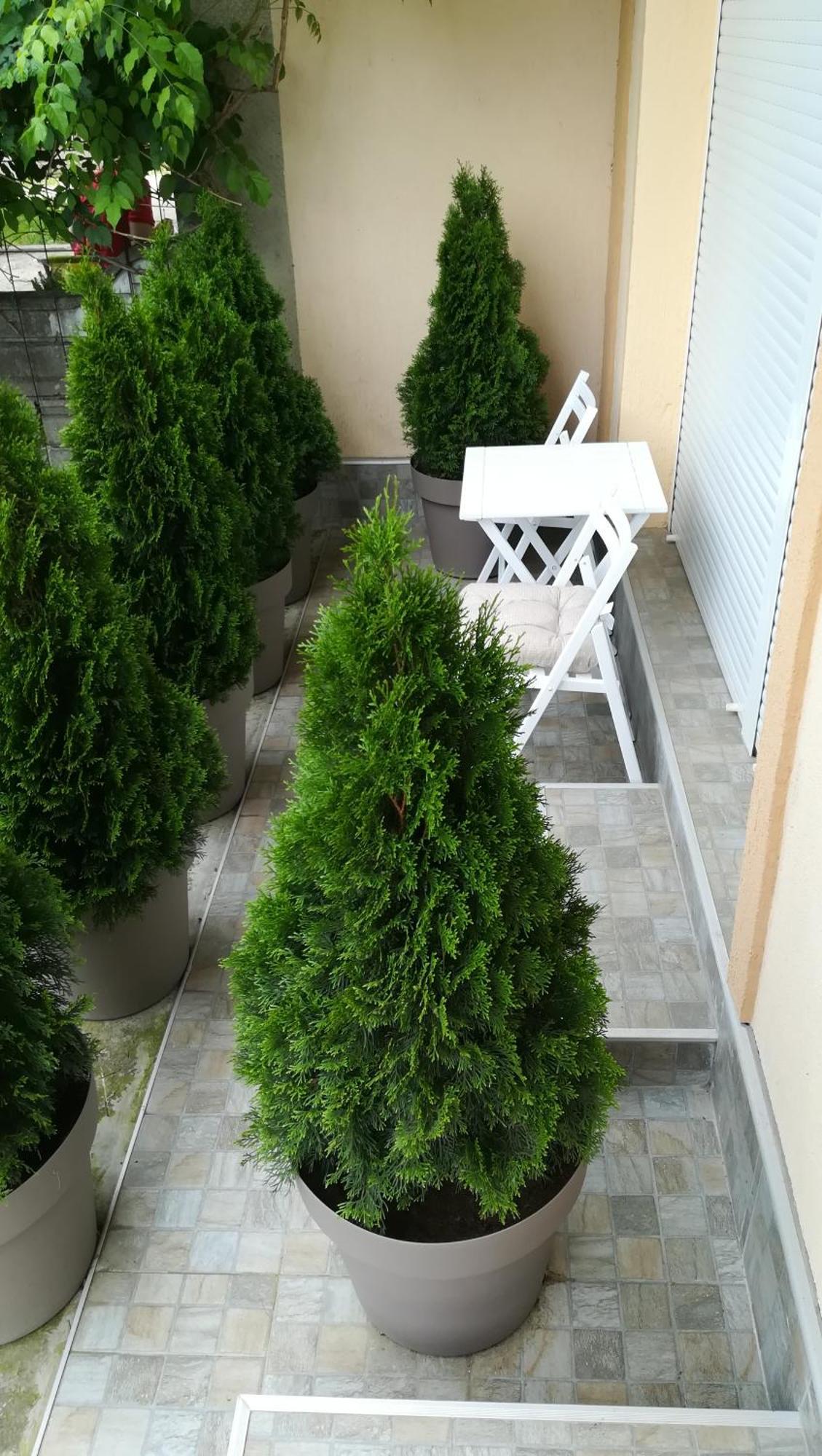 M4U Apartments Nisz Zewnętrze zdjęcie